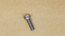 Johnson Evinrude OMC 317624 Screw 1973-2012+ 10-300hp - Used
