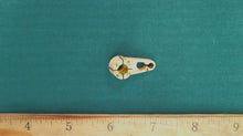 Johnson Evinrude OMC 204705 Needle Valve Arm - Used