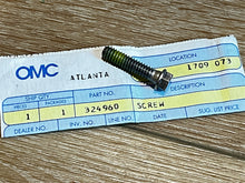 Johnson Evinrude OMC 324960 Screw