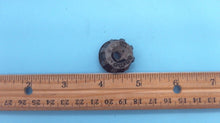 Johnson Evinrude OMC 203597 Low Speed Knob - Used