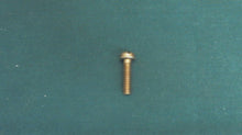 Johnson Evinrude OMC 304888 Screw