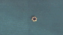Mercury 11-45774 Nut