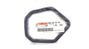 Yamaha 6E5-45123-00-00 Muffler Gasket (GLM)