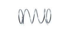 (A100-D500) - OEM Johnson Evinrude OMC 204913 Spring