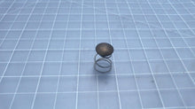 Mercury 24-30858A1 Spring