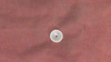 Johnson Evinrude OMC 305670 Fastener
