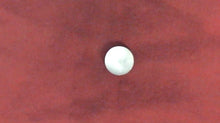 Johnson Evinrude OMC 306392 Core Plug