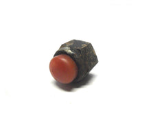 Mercury 25096 Lower Mount Screw Nut - Used