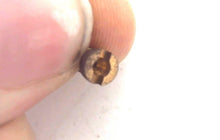Johnson Evinrude OMC 318823 Orifice Plug/Jet #31
