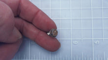 Johnson Evinrude OMC 329182 Screw, Terminal - Used