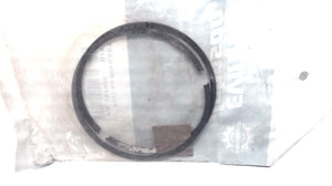 Johnson Evinrude OMC 394930 Piston Rings - Set of 2