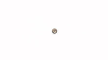Johnson Evinrude OMC 323703 Orifice .036