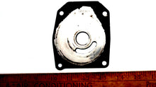Johnson Evinrude 341038 Water Pump/Impeller Wear Plate - Used