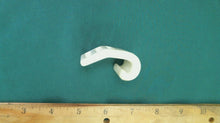 Johnson Evinrude OMC 902577 Clip - Used