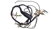 Mercury 18672A6 Motor Wiring Harness - Used