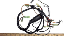 Mercury 18672A6 Motor Wiring Harness - Used