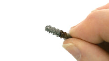 Johnson Evinrude OMC 325539 Screw - Used