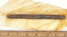 Mercury 16-71494 Stud