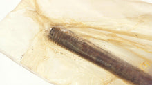 Mercury 16-71494 Stud