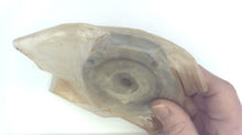 Mercury 87859A1 Retainer