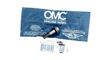 Johnson Evinrude OMC 317763 Screw & Seal