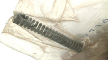 Mercury 24-33479 Spring