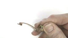 Volvo Penta 835707-1 835707 Spring Kit
