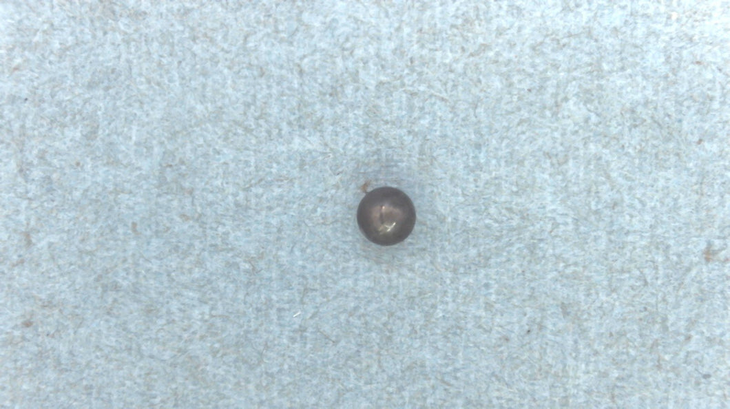 Johnson Evinrude OMC 316506 Detent Ball 1971-2015 8-235 HP - Used