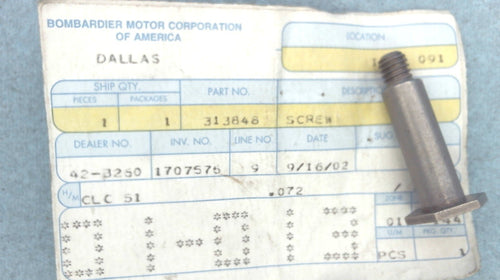 Johnson Evinrude OMC 313848 Stop Link Screw