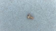 Johnson Evinrude OMC 303761 Leaf Screw
