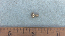 Johnson Evinrude OMC 303761 Leaf Screw