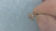Johnson Evinrude OMC 303761 Leaf Screw