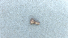 Johnson Evinrude OMC 126011 Neutral Detent Screw