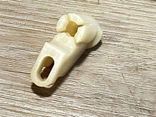 Johnson Evinrude OMC 308719 Control Knob