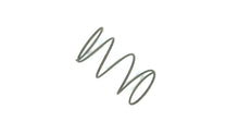 Johnson Evinrude OMC 303745 Spring