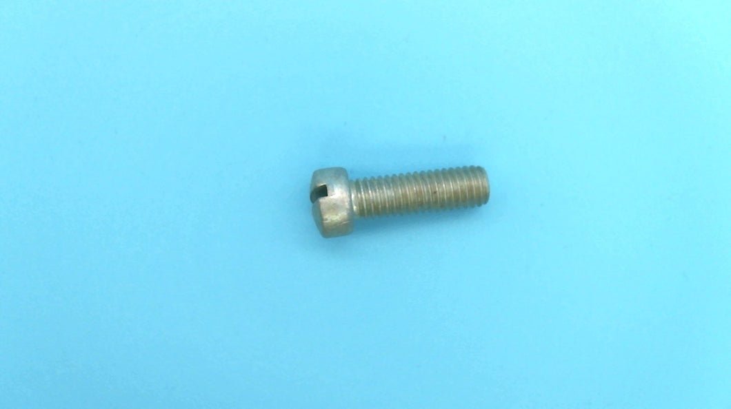 Johnson Evinrude OMC 306543 Screw