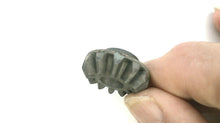Chrysler Marine 46691 Gear