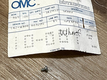 Johnson Evinrude OMC 312852 Screw