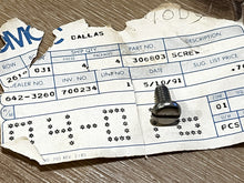 Johnson Evinrude OMC 306803 Screw