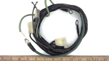 Johnson Evinrude OMC 379789 Harness