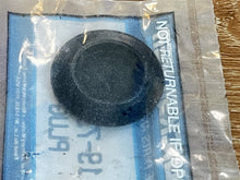 Mercury 19-73336 Plug