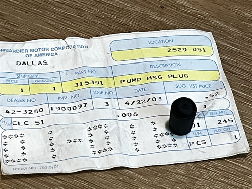 Johnson Evinrude OMC 315391 Pump Housing Plug