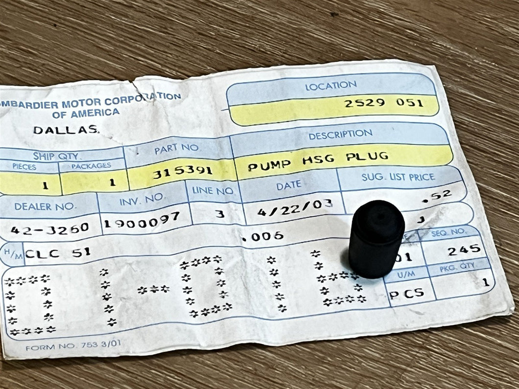 Johnson Evinrude OMC 315391 Pump Housing Plug