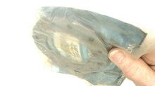 Mercury F707902 Thrust Ring
