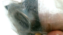 Mercury 31-43999 Roller Bearing