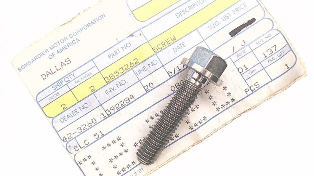 Johnson Evinrude OMC 3853262 Screw