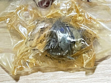 Mercury 22-60720 Plug