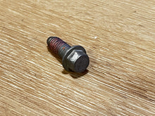 Johnson Evinrude OMC 341013 Screw