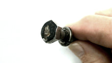 Johnson Evinrude OMC 339823 Screw - Used
