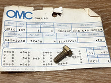 Johnson Evinrude OMC 306487 By-Pass Cover Screw